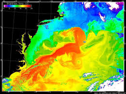 We set the industry standard for comfort and productivity. The Gulf Stream Is Slowing To A Tipping Point And Could Disappear Live Science
