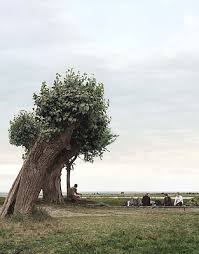 Brigitte hobmeier was born on march 2, 1976 in munich, bavaria, west germany. Beate Guetschow Artist News Exhibitions Photography Now Com