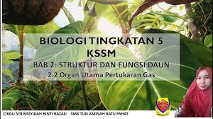 Unit 5 words rastgele kartlar. Biologi Tingkatan 5 Bab 2 Organ Utama Pertukaran Gas Youtube