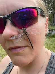 Cute little visitor saying hi while I'm watering🐝