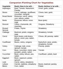 printable vegetable companion planting chart companion