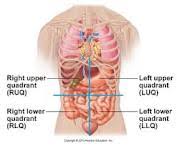 Quadrant (motorcycles), one of the earliest british. Orientation In Anatomy Craniumcommander