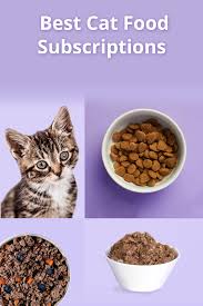Pet food delivery services delivers to your door, in melbourne and all the surrounding suburbs of melbourne, including the whole of the mornington bayside peninsula. The 12 Best Cat Food Subscriptions For Fresh Dry Food Delivery Msa
