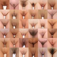 File:Vagina collage 07.jpg - Wikipedia