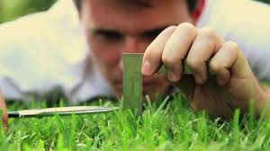 ÙØªÛØ¬Ù ØªØµÙÛØ±Û Ø¨Ø±Ø§Û Ø§Ø®ØªÙØ§Ù Ø§Ø®ØªÙØ§Ù Ø´Ø®ØµÛØª ÙØ³ÙØ§Ø³ Ø§Ø¬Ø¨Ø§Ø±Û