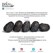 E471 halal ya haram urdu halal khao e471. E 133 Halal Or Haram