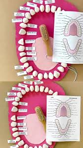 Kids Learning Mouth Anatomy Kids Learning Activities Learning Activities