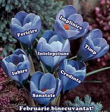 Natura - Frumusete si Magie - Pe toate să le aveți din plin în noua lună! |  Facebook