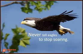 Never Tell Eagles To Stop Soaring Leadership Freak