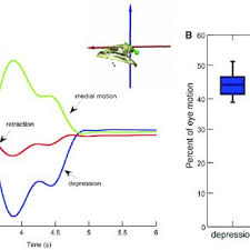 We did not find results for: Pdf Eye Movements In Frogs And Salamanders Testing The Palatal Buccal Pump Hypothesis