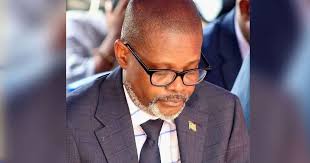 Governance Lapses Must End, Senator Dillon Tells President Boakai