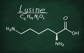 Research has shown that hair loss can be reduced with lysine supplementation 6 ideal food sources for lysine include fish (especially salmon, sardines and cod), dairy products, poultry, red meat, pork, legumes, nuts, spirulina and pulses. 13 Evidence Based Benefits Of Lysine Well Being Secrets