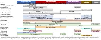 48 systematic antimicrobial spectrum of activity chart