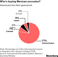 Mexican Hass Avocado Prices Jump 34 The Most In A Decade