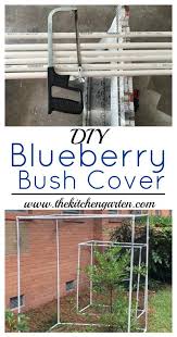 Bird Netting For Blueberries Lowes Diy Blueberry Bush Covers Blueberry Bushes Blueberry Gardening Deer Resistant Garden