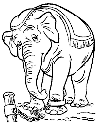 You can also color online your dumbo and the elephant coloring page hellokids fantastic collection of dumbo coloring pages has lots of coloring pages to print out or color online. Pics Of Dumbo Coloring Home