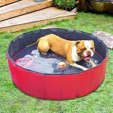Pedy Piscine Grand Pour Chien Pliable Piscine Baignoire Bassin De Baignade Bain Pour Chien Chat Animal Exterieur Ou Interieur 80 20 Achat Vente Tapis De Jeu Tunnel Pedy Piscine Grand Pour Chi Cdiscount