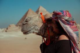 As cairo is overwhelming with so much to do and explore, please feel free to add or skip any sites mentioned as to adjust the tour to your schedule. Full Day Tour To Giza Pyramids With Camel Ride And Egyptian Museum In Cairo Placepass