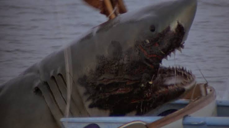 Jaws 2': The Legacy of Being the Second-Best Shark Movie Ever - HGL