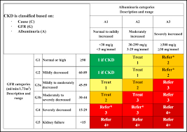 The symptoms of renal vascular disease may look like other medical conditions or problems. Practical Approach To Detection And Management Of Chronic Kidney Disease For The Primary Care Clinician The American Journal Of Medicine