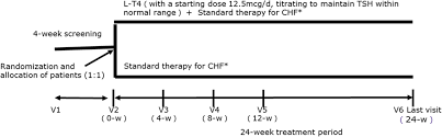 Efficacy And Safety Of Levothyroxine L T4 Replacement On