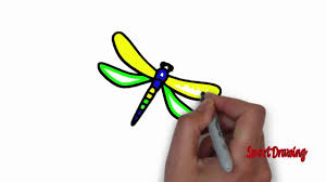 During the day they like to hide in the grass, and in the evening the like to perch on grass stems (especially the females). How To Drawing And Coloring Firefly Easy For Kids Youtube