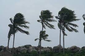 Video shows what gale means. Gale Meaning Spinfold