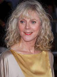 14 Shoulder Length Wavy Wigs For Lady Hand Tied Grey Womens Hairstyles Grey Hair Wig Long Hair Styles
