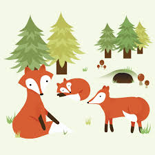 Wildlife Illustrations — Emma Preston-Steed