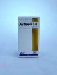 Actipen La Antibiyotikler Vetrehberi Veterinerler