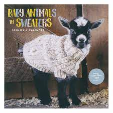 Baby Animals In Sweaters 2020 Wall Calendar 1 Review 5 Stars Daedalus Books D95050