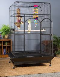 Used Bird Cages For Sale Near Me An Extra Large Bird Cage Is A Must If You Re Going To Have A Parrot Larger Than A Cockatiel Lets Be Honest Come And Macaw Cage Large Bird Cages Pet