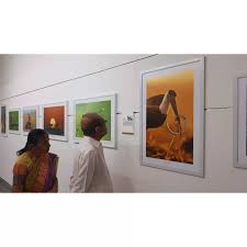 Rishit Sheth I Wildlife Photographer (@rishitsheth.clicks) • Instagram  photos and videos