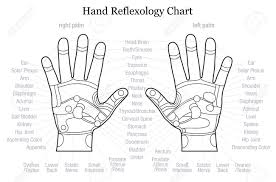 Hand Reflexology Chart With Accurate Description Of The Corresponding