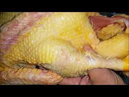 Home » unlabelled » ازاله ريش البط بطريقه بسيطه : Ø¹ÙŠØ§Ø¯Ø© ØªØ³Ø·ÙŠØ± Ø³ÙŠÙ„ Ø·Ø±ÙŠÙ‚Ø© ØªÙ†Ø¸ÙŠÙ Ø§Ù„Ø¨Ø· Ckleroderosbo Com