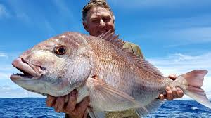 This is a sign that the fish is always research before going on a fishing trip. Charter Fishing For The First Time The Complete Guide