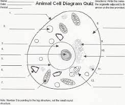 If your class does not have access to a microscope, learners may still practice preparing a wet mount. Animal Cell Diagram Diagram Quizlet