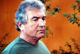 Review Of Ray Zepeda's Book Tao Driver