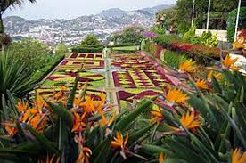 Botanischer garten oberhalb von funchal auf madeira. Funchal Reisefuhrer Auf Wikivoyage