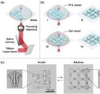 Bioinspired Microhinged Actuators for Active Mechanism‐Based ...