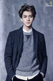 Suho and sehun disclosed that they have known each other for almost 12 years now. Exo Member Profile And Facts Sehun Internet Rebels