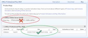 Microsoft Office 2019 Professional Plus 32 64 Bit License Key Instant Delivery Setup Microsoft Office Installation