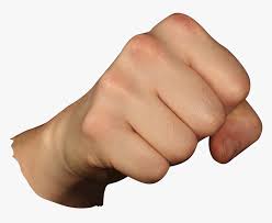 Punching Fist Png Image Transparent Fist Png Png Download Transparent Png Image Pngitem 43 transparent png illustrations and cipart matching hand fist. punching fist png image transparent