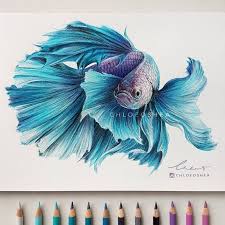 Drawing a child's face : Realistic Wind Animal Drawings Purple Art Fish Drawings Fish Art