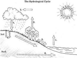 Blank Water Cycle Wks 7th Grade Science Middle School