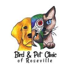 Emergency pet clinic of temecula. The Bird Pet Clinic Of Roseville Home Facebook