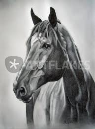 Pferdekopf In Bleistift Zeichnung Als Poster Und Kunstdruck Von Ursula Thuleweit Laranjeiro Bestellen Artflakes Com