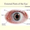Eye diagram ks3 eye diagram ks3 human eye diagram of the eye eyes. 3