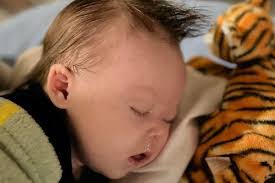 Bridget Steed's Instagram, Twitter & Facebook