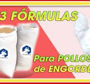 POLLOS de ENGORDE 3 FÓRMULAS GRATIS INICIO CRECIMIENTO y FINAL ǀ Ing.  Jannin Hernández Blandón